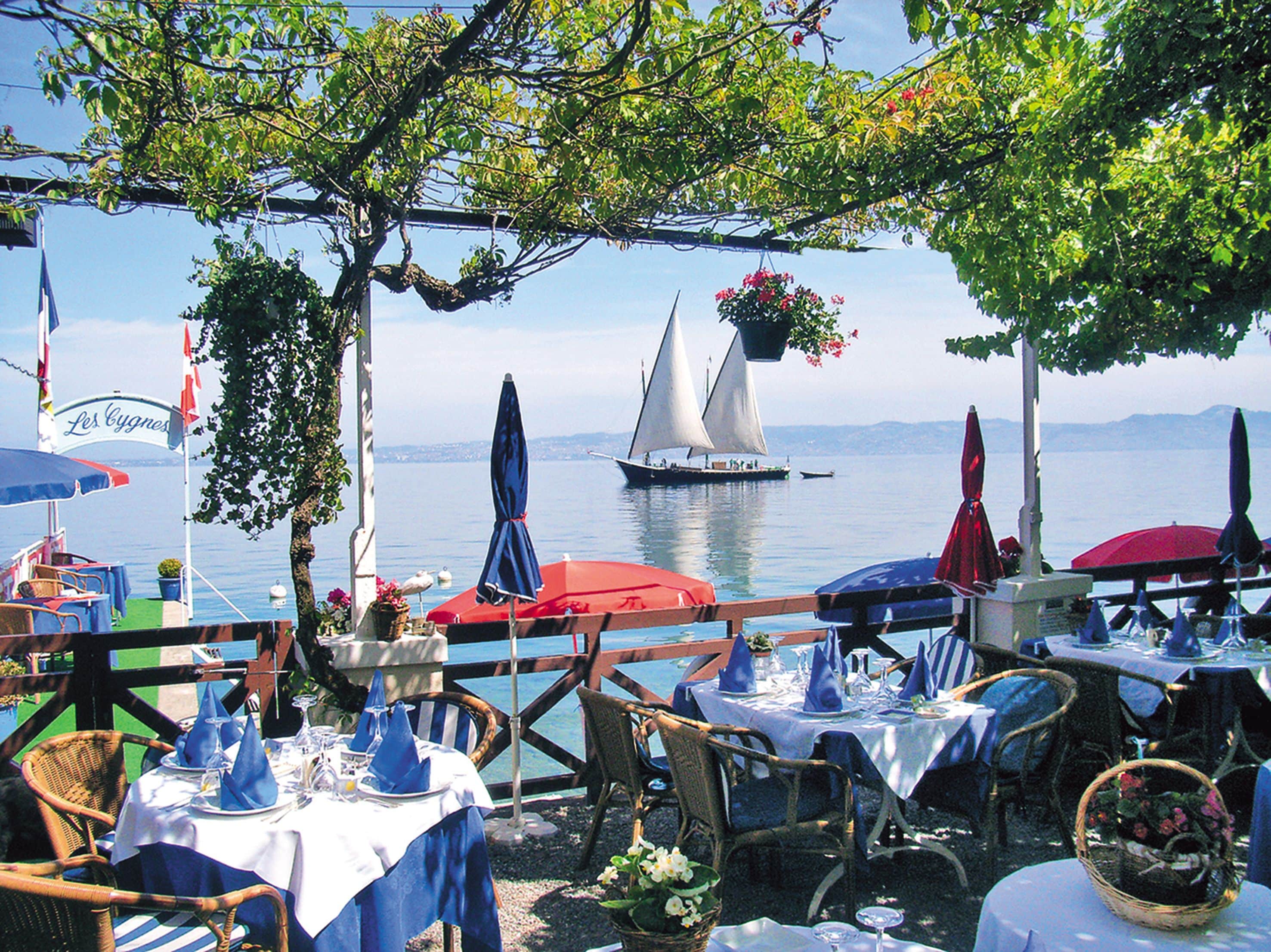 Hôtel & Spa Les Cygnes