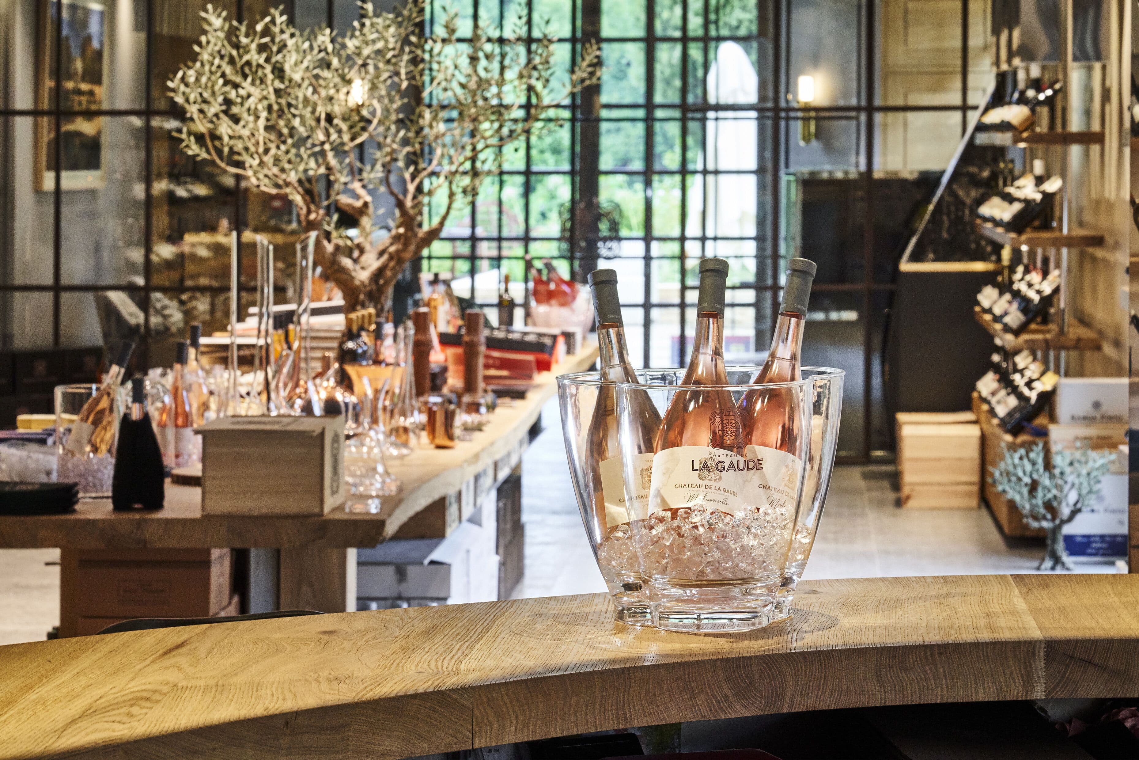 Château de la Gaude — photo 3